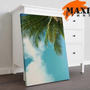 Фотография Maxiпринт306 5